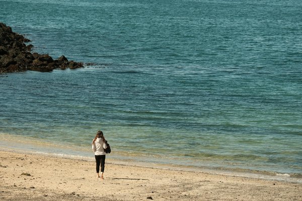 Referenceosteopathie