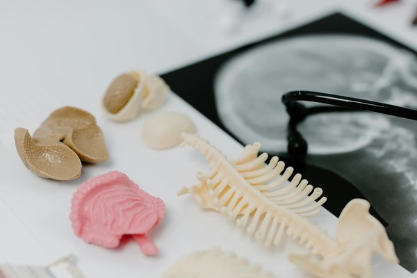 Les en-cas sains : une parfaite source d'énergie et de santé à consommer en été