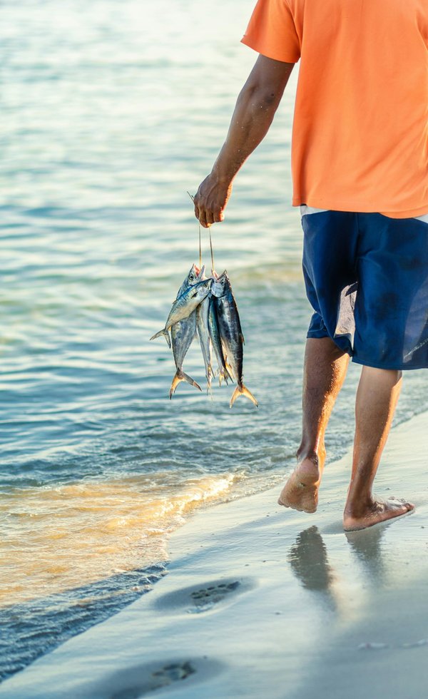 Les secrets de la pêche à marée basse révélés !